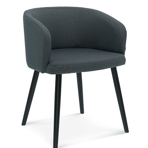 Image of Dining Chairs DC-1